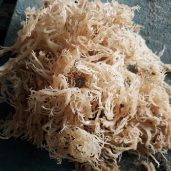 Tin Tức Mới Nhất