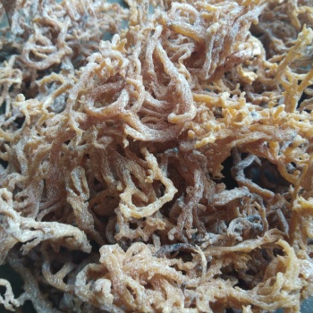 Tin Tức Mới Nhất